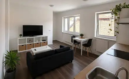 Pronájem bytu 1+kk 26 m²
