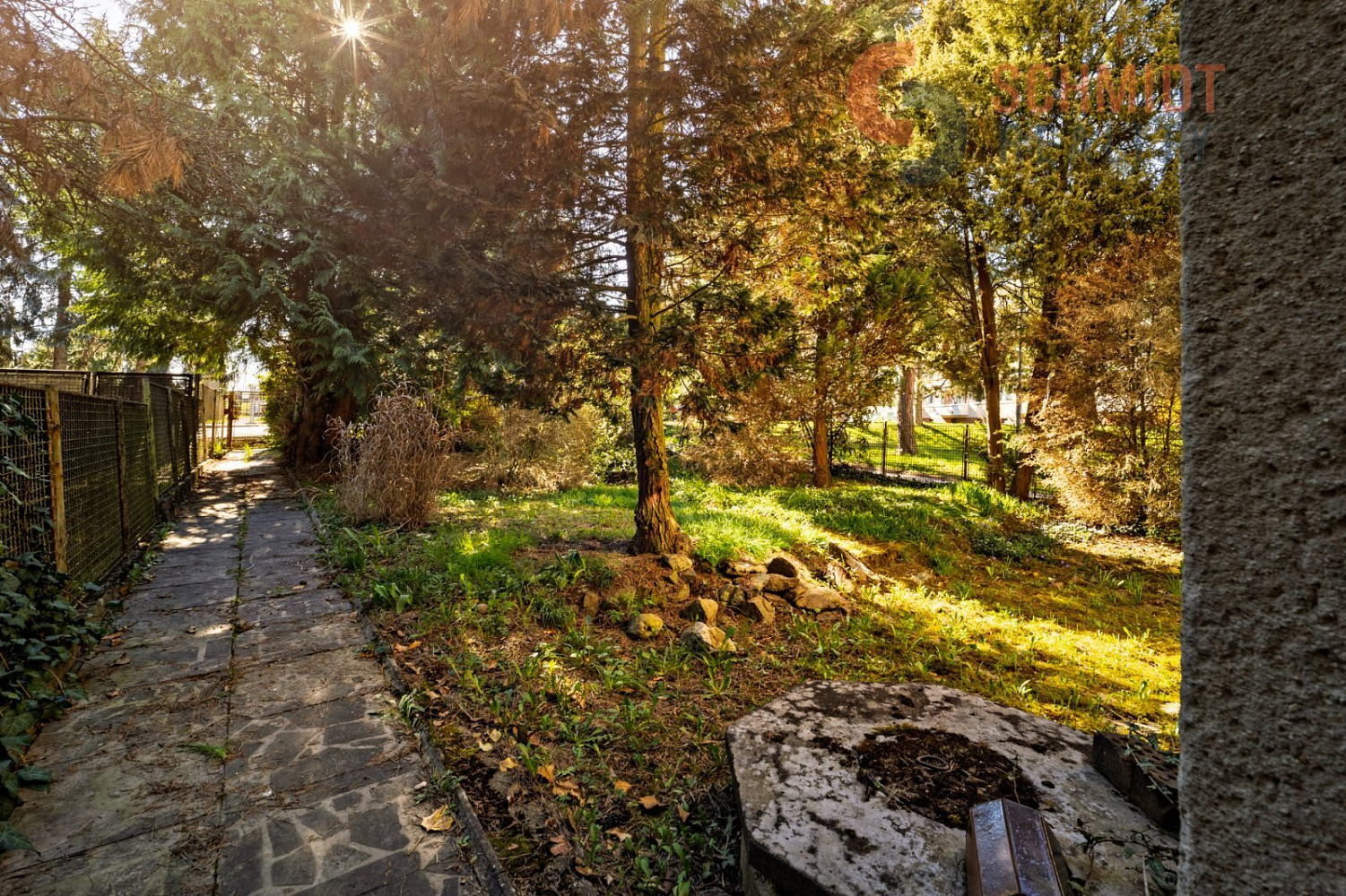 Fotka 14 z 15