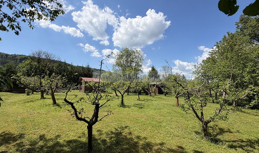 Prodej zahrady 703 m², Dlouhá Třebová – náhled fotky 8