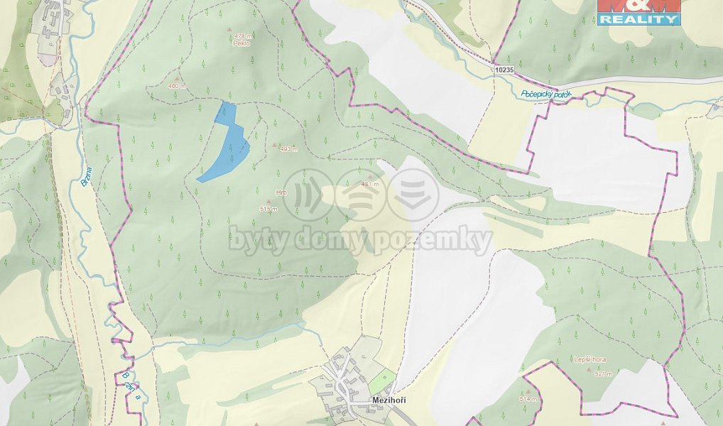 Prodej lesa 16 220 m², Petrovice – náhled fotky 3
