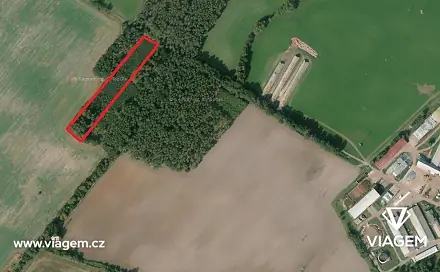 Prodej lesa 3 988 m², Živanice, okres Pardubice