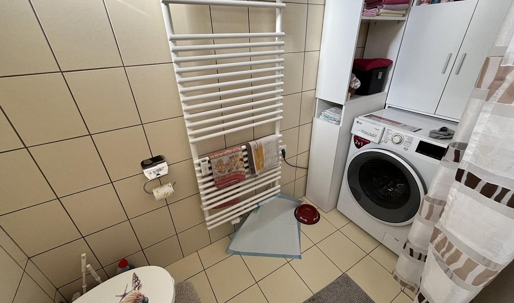 Pronájem bytu 2+kk 89 m², Kunín – náhled fotky 13