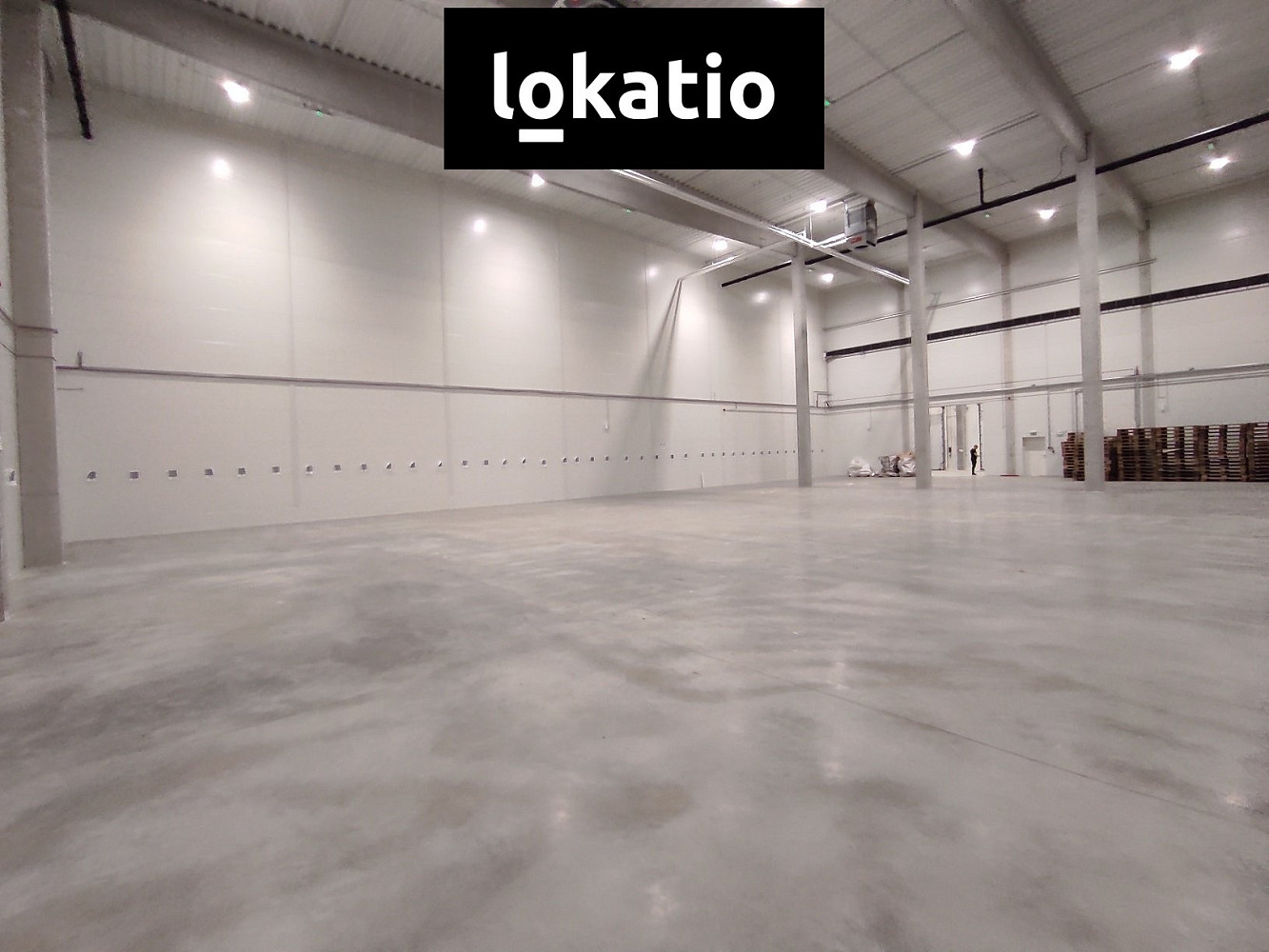 Pronájem skladovacích prostor 944 m² — photo 3