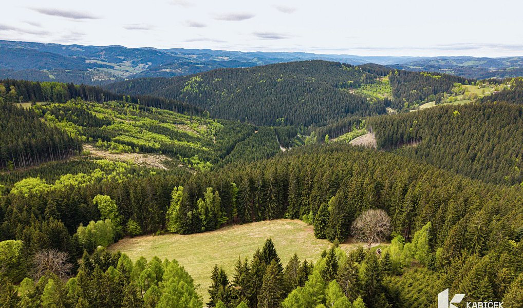 Prodej chaty/chalupy 94 m² s pozemkem 934 m², Velké Karlovice – náhled fotky 21