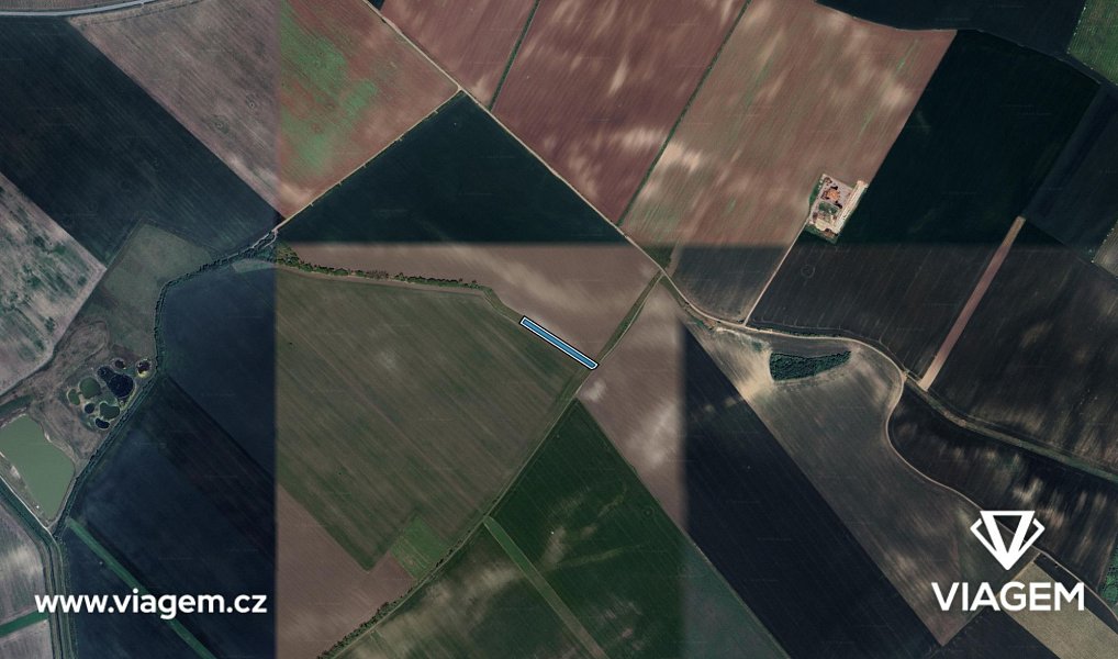Prodej pole 374 m², Velké Pavlovice – náhled fotky 3