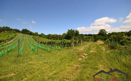 Prodej pole 2 460 m², Pod St. hradem, Bzenec, okres Hodonín