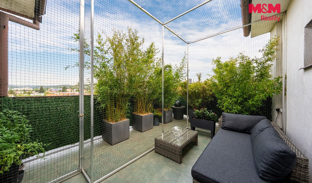 Prodej domu 292 m² s pozemkem 412 m², Brno – náhled fotky 4