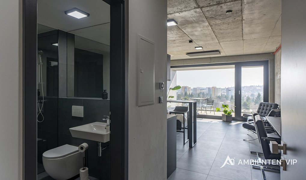 Pronájem bytu 1+kk 42 m², Brno – náhled fotky 10