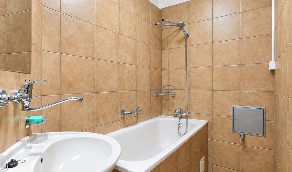 Pronájem bytu 2+1 67 m², Plzeň – náhled fotky 7