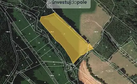 Prodej louky 7 040 m², Rapotín, okres Šumperk