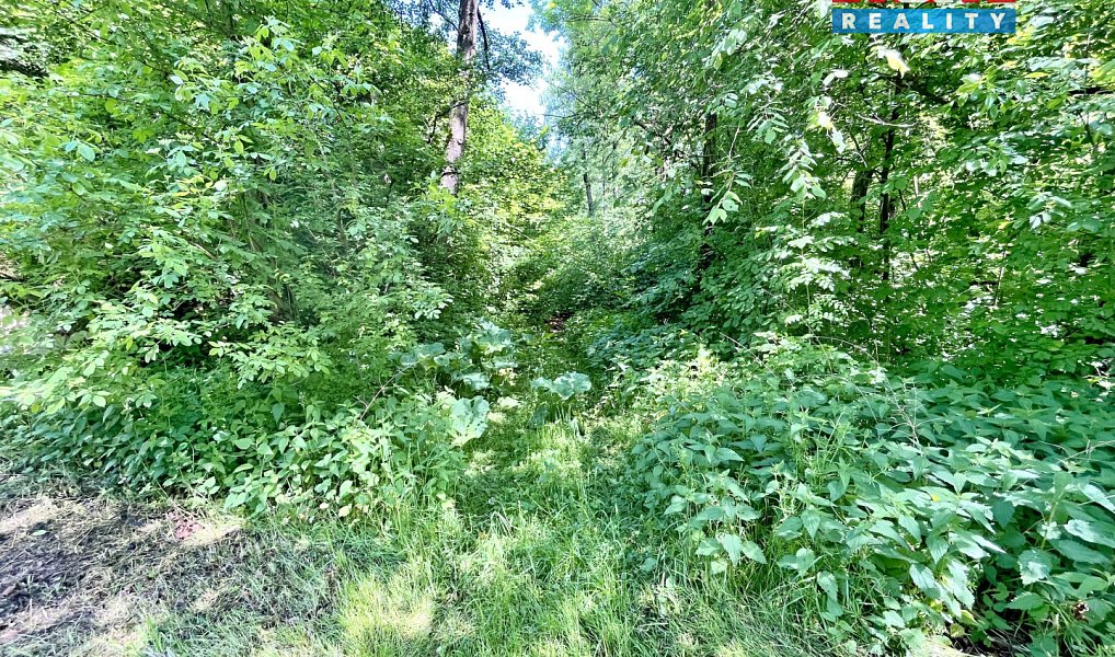 Prodej vodní plochy 3 255 m², Skalice u České Lípy – náhled fotky 8