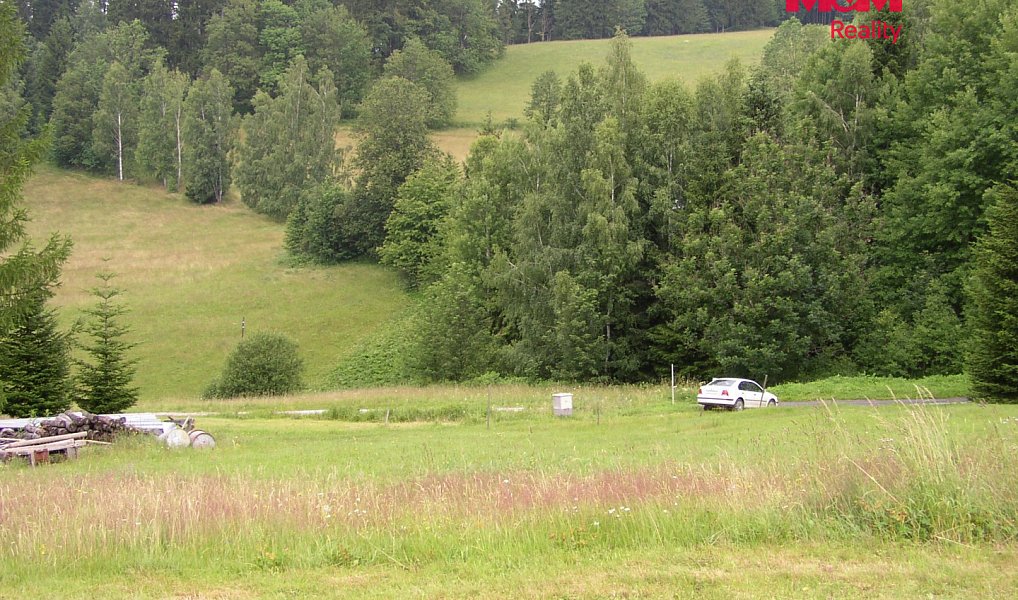 Prodej louky 4 214 m², Benecko – náhled fotky 9