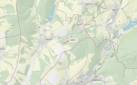 Dražba lesa 2 302 m², Ludkovice
