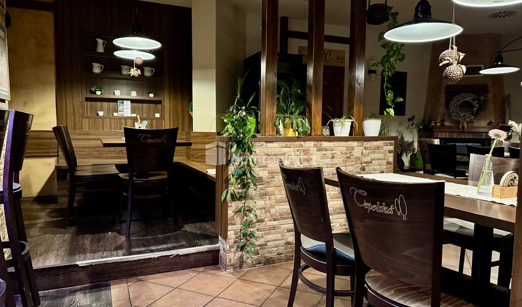 Prodej restaurace 908 m², Topolná – náhled fotky 10