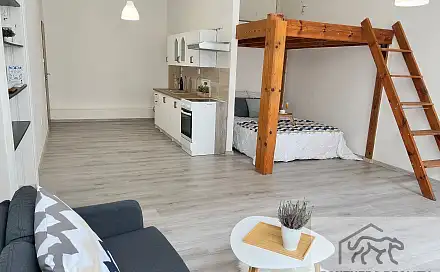 Pronájem bytu 1+kk 44 m², Denisova, Olomouc