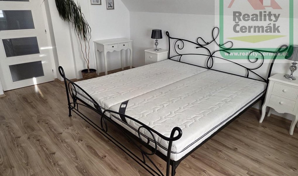 Prodej domu 170 m² s pozemkem 1 306 m², Bor – náhled fotky 17