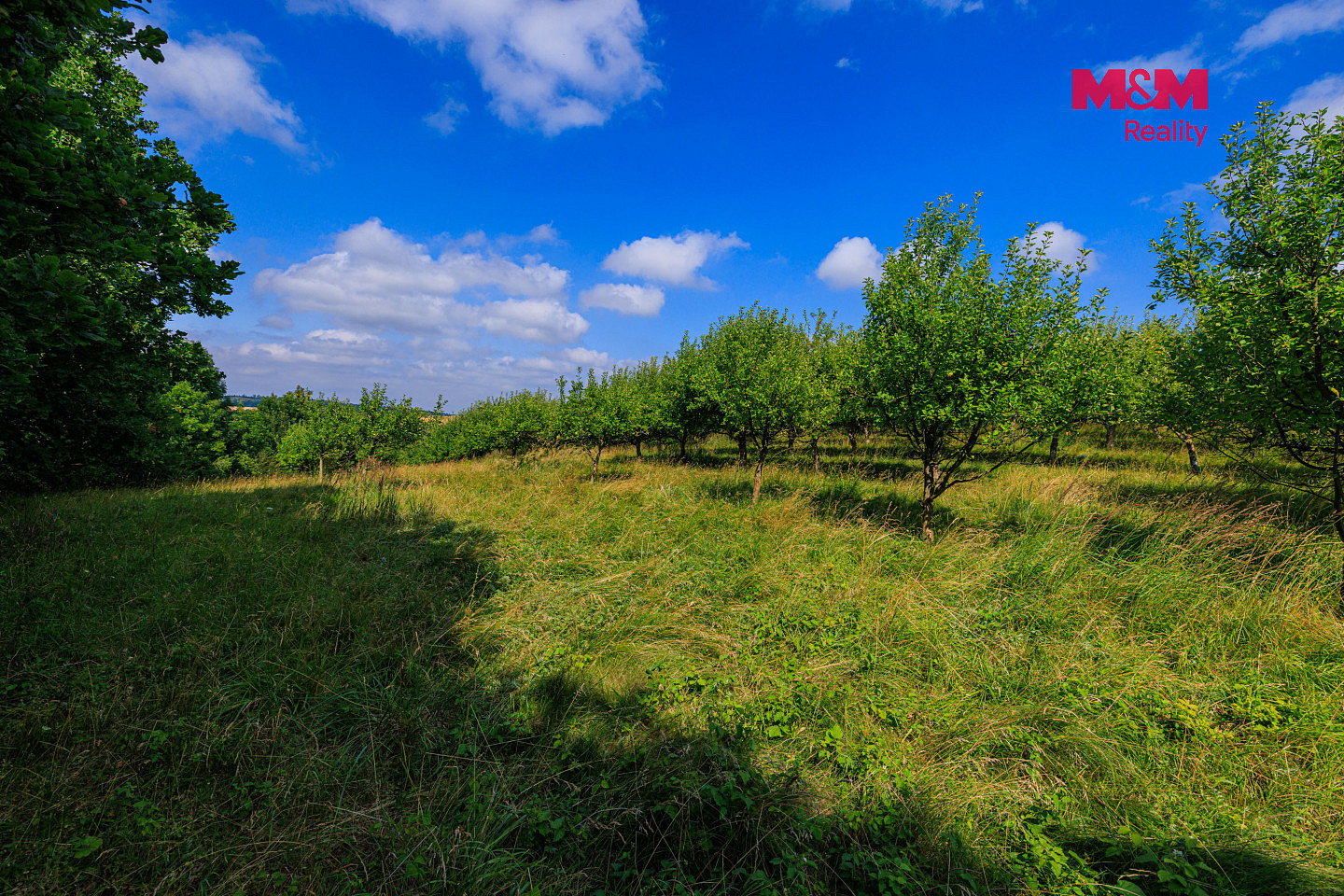 Prodej pole 9 766 m² — photo 2