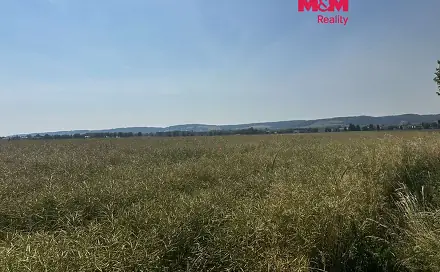 Prodej pole 244 621 m², Město Albrechtice, okres Bruntál