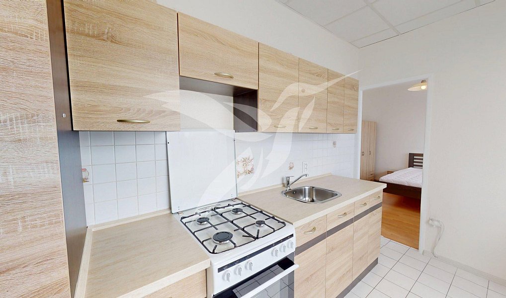Pronájem bytu 2+1 53 m², Plzeň – náhled fotky 3