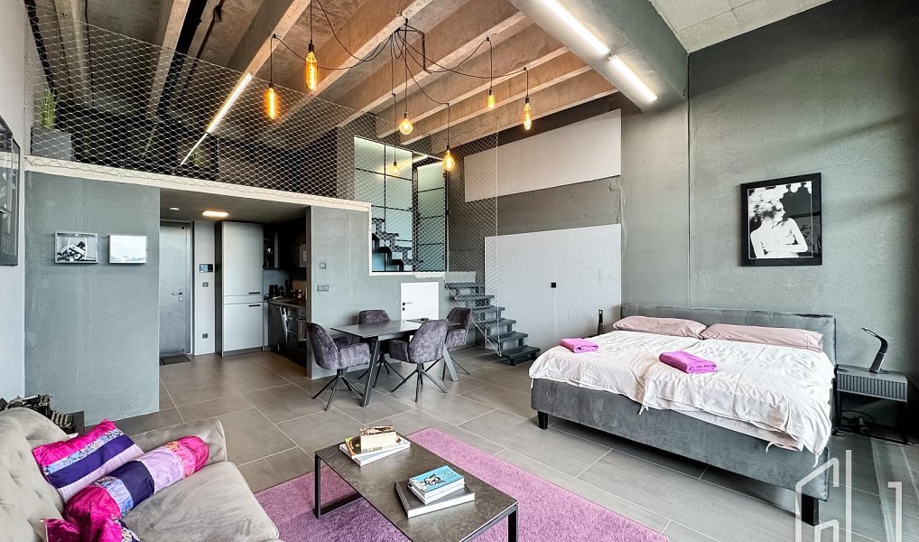 Pronájem bytu 2+kk 65 m², Praha – náhled fotky 4