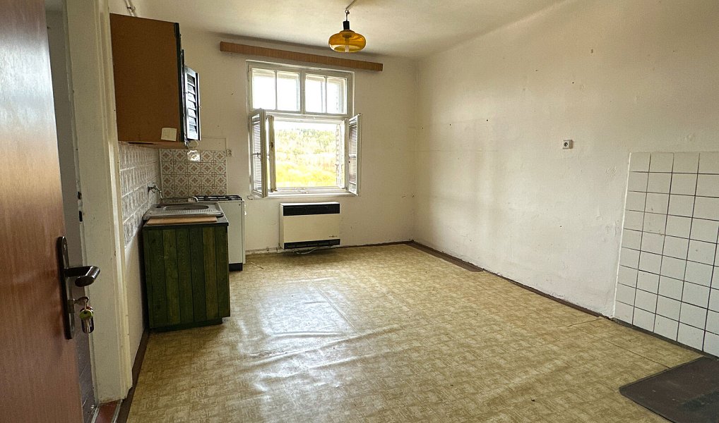 Prodej bytu 1+1 46 m², Planá – náhled fotky 23