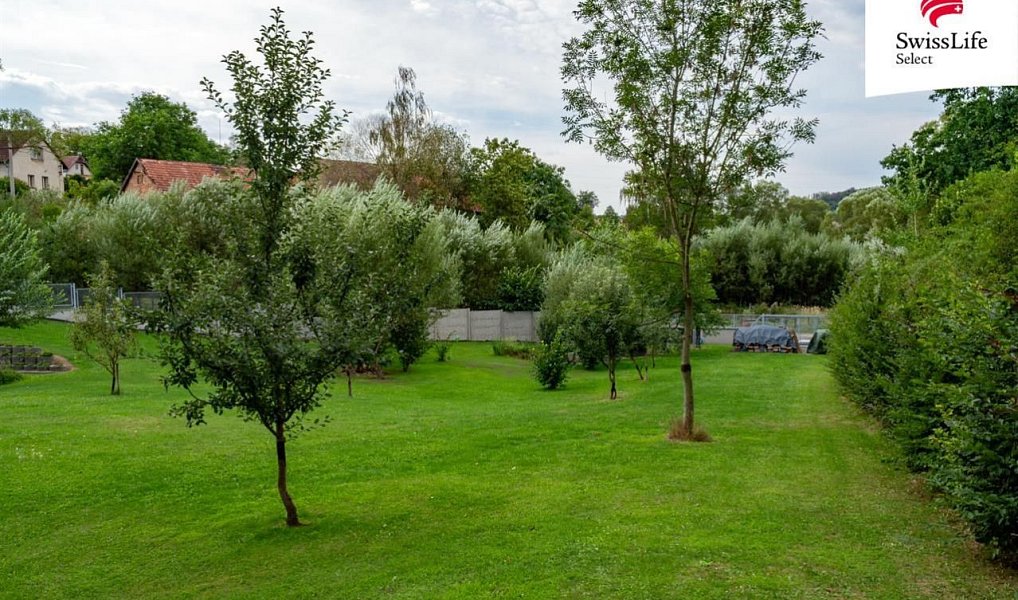 Prodej stavebního pozemku 4 611 m², Krňany – náhled fotky 5