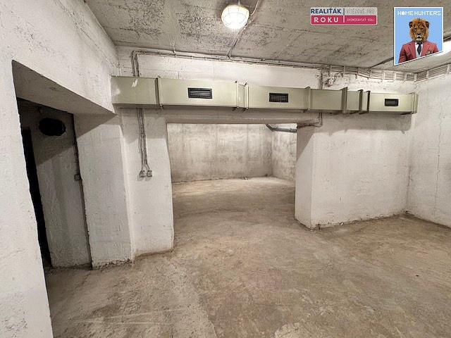 Pronájem obchodních prostor 222 m² - Widok 3