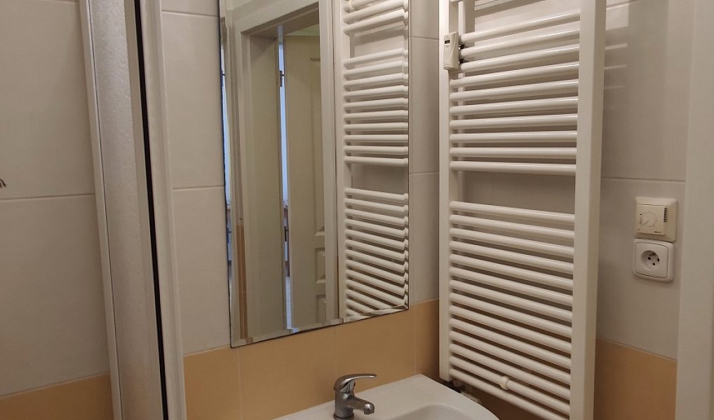 Prodej bytu 1+kk 30 m², Praha – náhled fotky 7