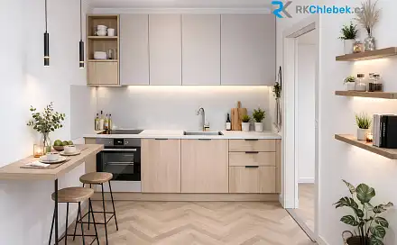 Prodej bytu 2+1 46 m², M. Chasáka, Frýdek-Místek - Frýdek