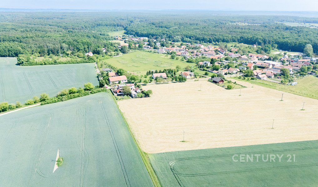 Prodej stavebního pozemku 5 553 m², Jizbice – náhled fotky 5