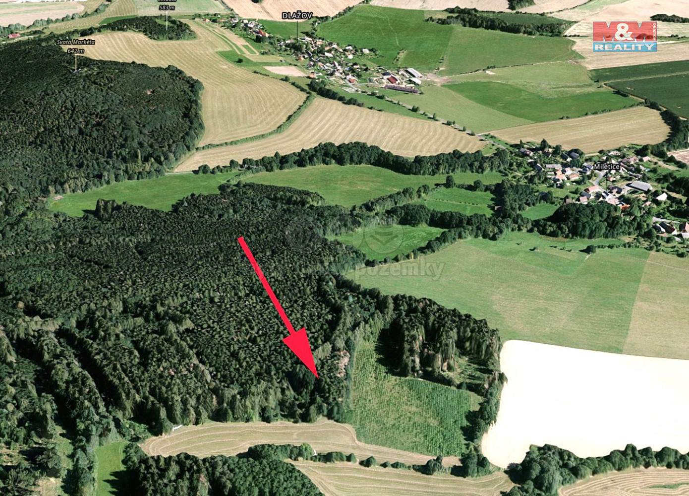 Prodej lesa 1 468 m²