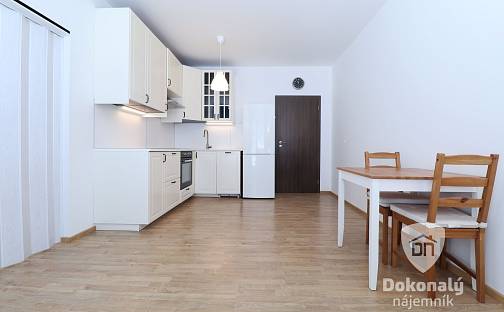 Pronájem bytu 2+kk 43 m², Makedonská, Praha 9 - Střížkov