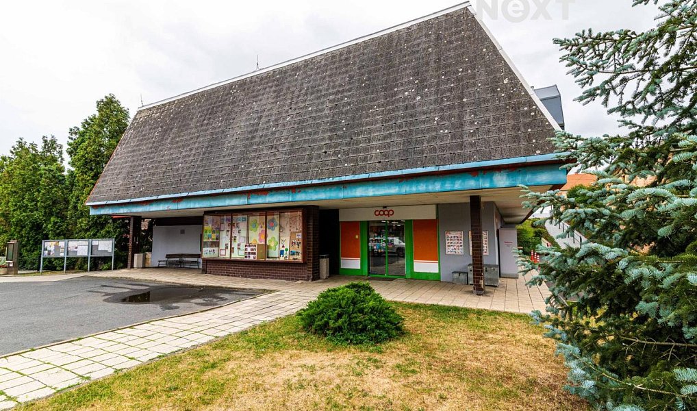 Prodej domu 96 m² s pozemkem 886 m², Čistá – náhled fotky 36