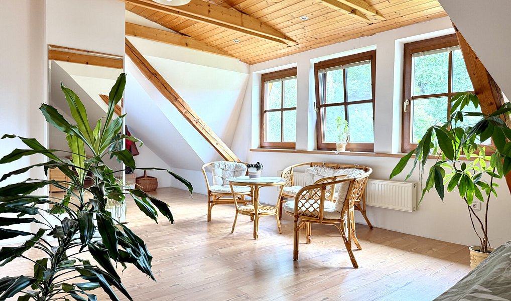 Prodej domu 240 m² s pozemkem 1 494 m², Bělá pod Pradědem – náhled fotky 17