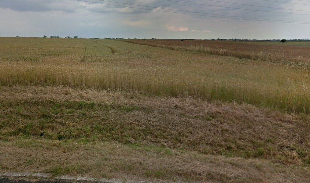 Prodej pole 9 846 m², Ladná – náhled fotky 3