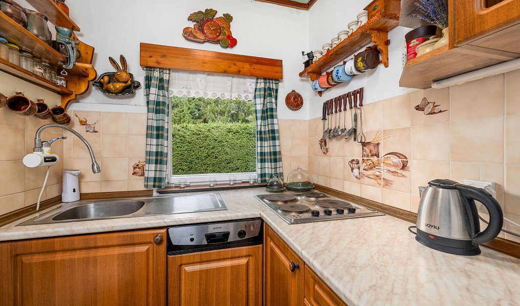 Prodej chaty/chalupy 40 m² s pozemkem 481 m², Horní Planá – náhled fotky 19