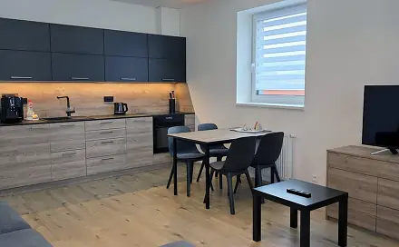 Pronájem bytu 2+kk 56 m², Loučná pod Klínovcem - Loučná, okres Chomutov