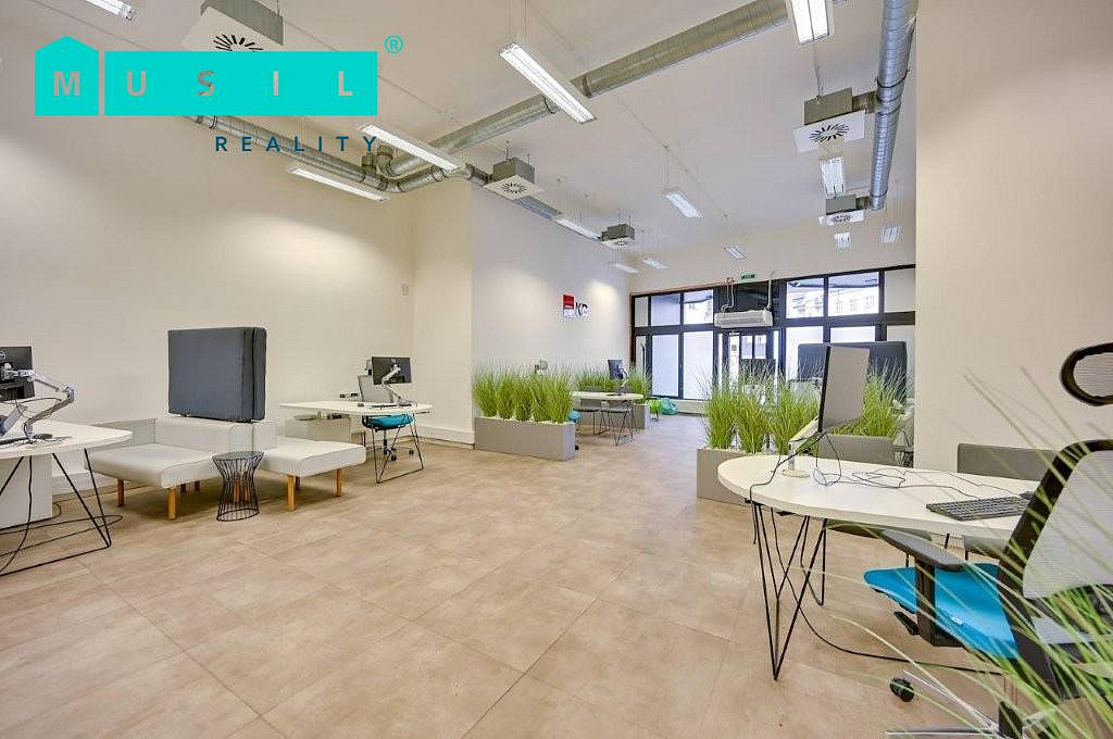 Pronájem obchodních prostor 300 m² – fotografie 2