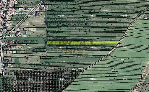 Prodej pole 728 m², Moravany, okres Hodonín