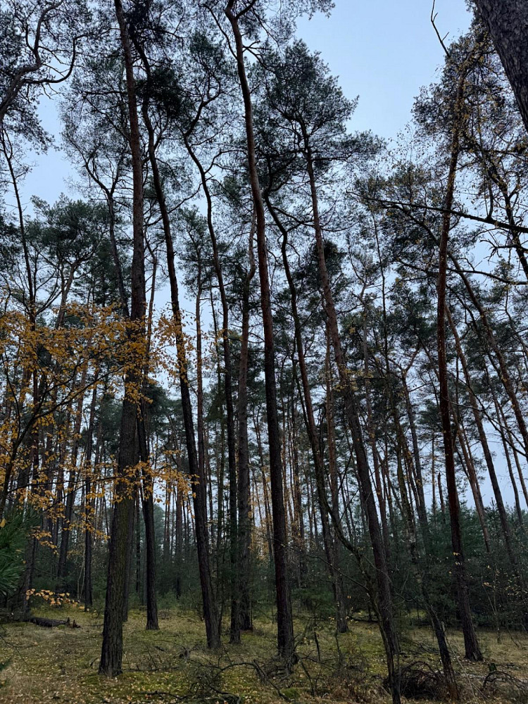 Fotka 10 z 16