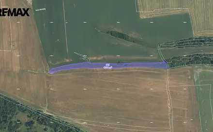 Prodej pole 4 736 m², Stříbro, okres Tachov