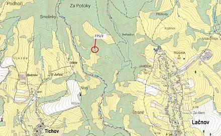 Dražba lesa 281 m², Tichov