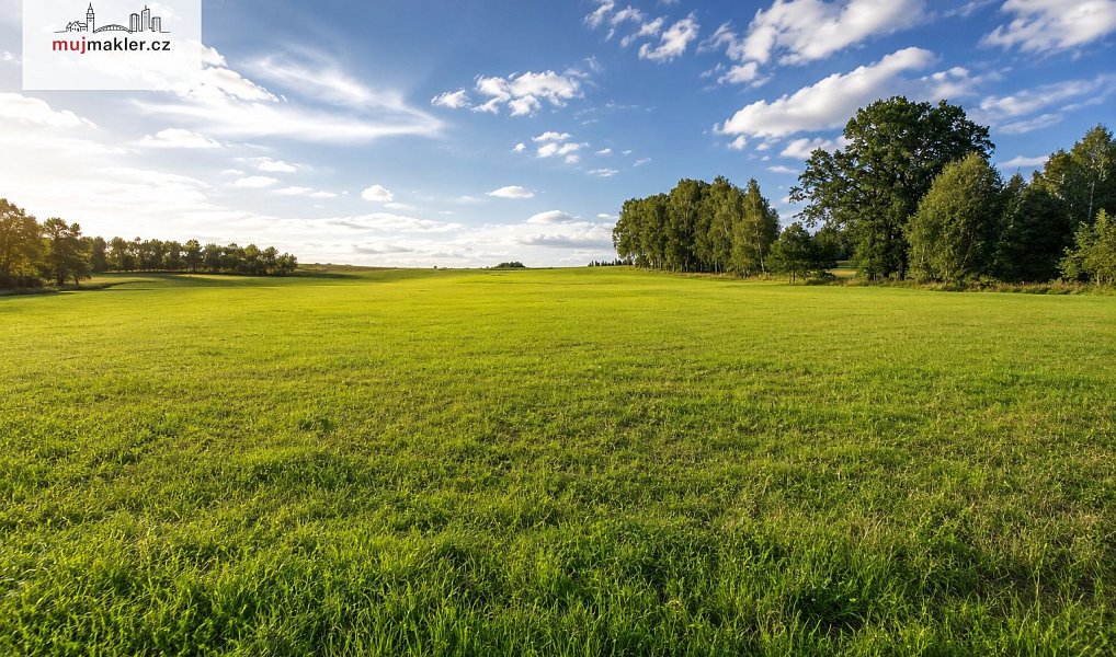 Prodej stavebního pozemku 2 845 m², Žirovnice – náhled fotky 2