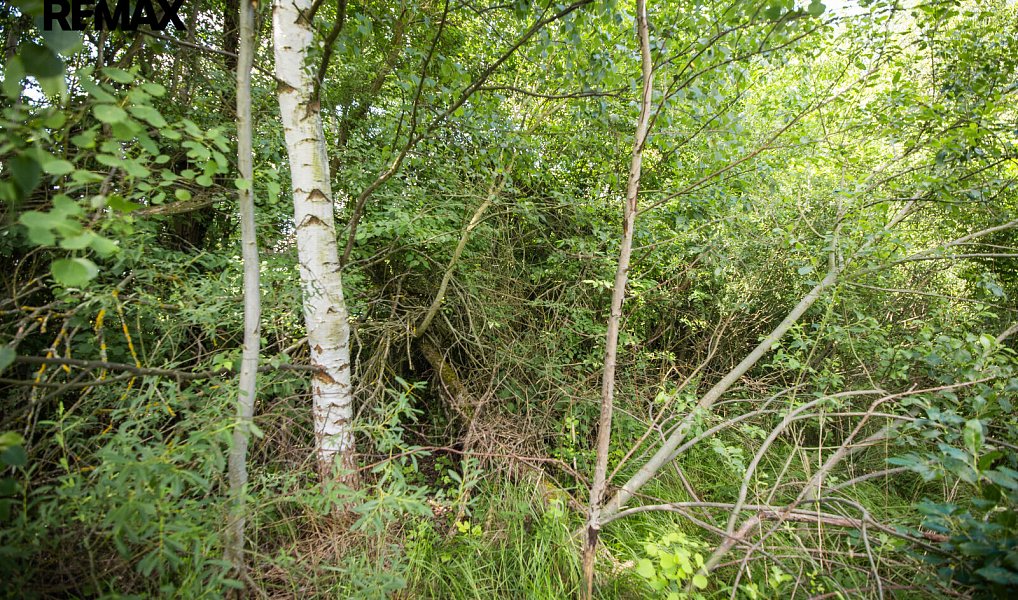 Prodej stavebního pozemku 1 753 m², Rožmitál pod Třemšínem – náhled fotky 11
