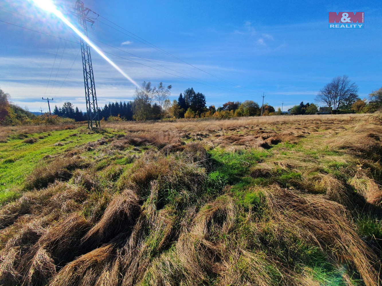 Prodej louky 10 565 m²