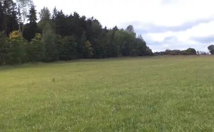 Dražba louky 5 912 m², Ctiboř