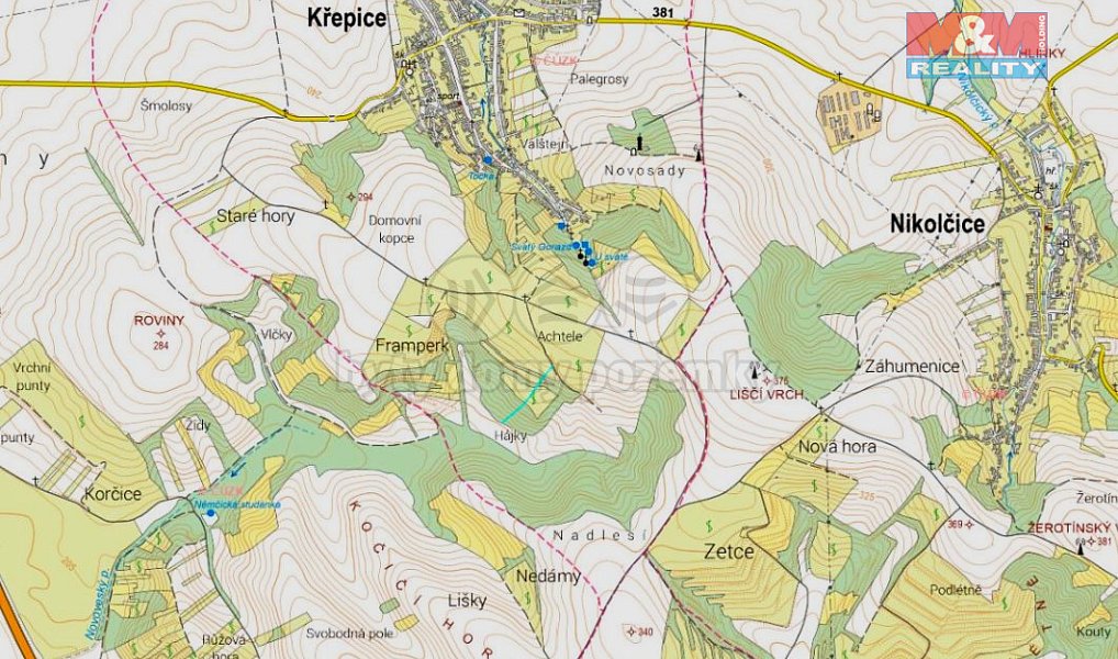 Prodej lesa 553 m², Křepice – náhled fotky 4