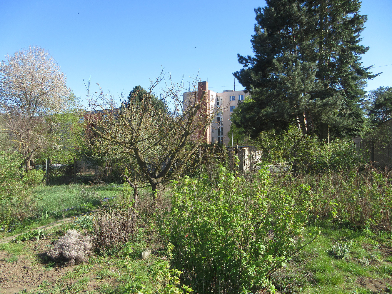 Prodej zahrady 1 392 m²