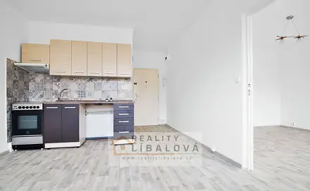 Pronájem bytu 1+1 35 m²