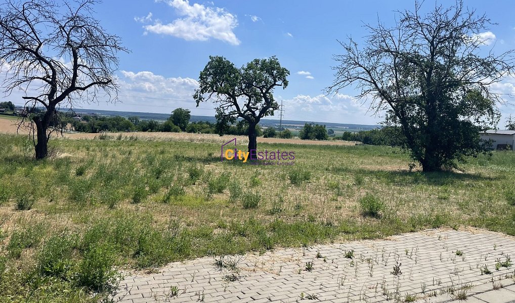 Prodej stavebního pozemku 1 090 m², Dobrovice – náhled fotky 12